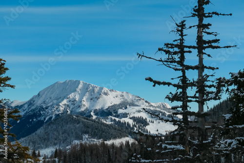 Panoramic view of snow capped mountain peak Hohe Veitsch on the way to mount Hochanger, Muerzsteg Alps, Styria, Austria. Ski touring winter wonderland in remote Austrian Alps. Idyllic snowy forest photo