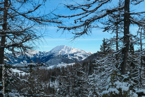 Panoramic view of snow capped mountain peak Hohe Veitsch on the way to mount Hochanger, Muerzsteg Alps, Styria, Austria. Ski touring winter wonderland in remote Austrian Alps. Idyllic snowy forest photo