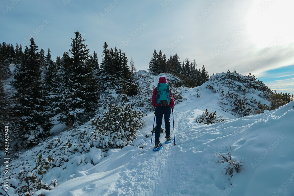 Woman with snowshoes in snow covered meadow on way to Hochanger, Muerzsteg Alps, Styria, Austria. Idyllic hiking trail along alpine snowy meadow and forest. Winter wonderland in remote Austrian Alps