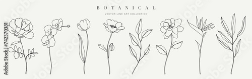 Set botanical hand drawn element vector. Collection of foliage, branch, floral, leaves, wildflower in one line art. Minimal style blossom illustration design for logo, wedding, invitation, decor.