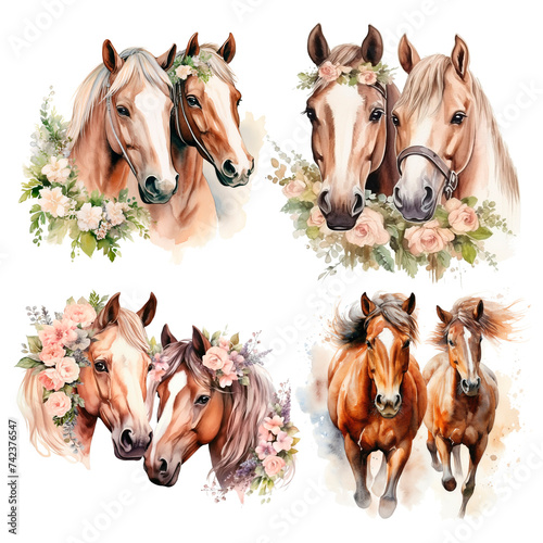 Very nice watercolour painting of two horses. Set of illustrations isolated on white background. © Natali_Mias