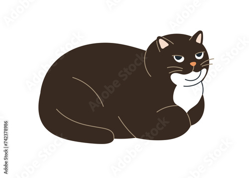Cute funny cat lying, relaxing. Bossy kitty resting. Amusing adorable confident chunky feline animal looking up. Lovely curled pet. Flat graphic vector illustration isolated on white background.