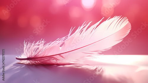 Abstract feather background feather texture wallpaper