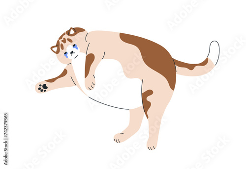 Sad fat cat lying and crying. Upset depressed chunky fatty kitty in tears. Cute feline animal with full belly. Unhappy pet in depression. Flat graphic vector illustration isolated on white background.