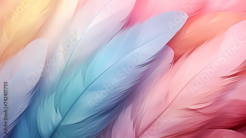 Multicolor feather background, feather texture © xuan