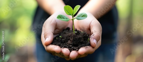 Hands holding Little seedling in black soil. Earth day and Ecology concept. Human hands holding sprout young plant. Generative AI