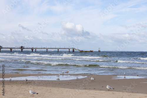 Fototapeta Naklejka Na Ścianę i Meble -  Foamy water of the Baltic Sea, sea gulls walking on the sand, Island Wolin, Miedzyzdroje, Poland