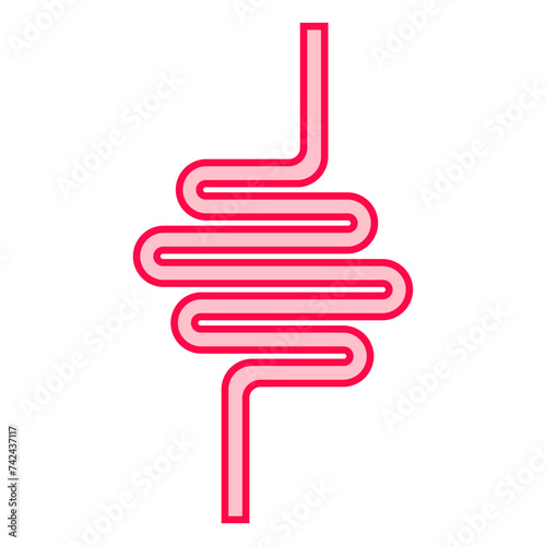 Pink intestine. Gut, digestion, digest food, nutrition, gastrointestinal tract, healthy, health, gastroenterology, immunity, beneficial bacteria, esophagus, large, small, absorb nutrients. Vector