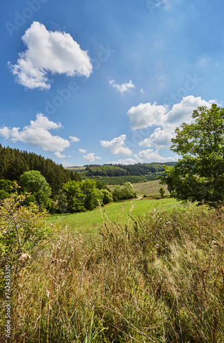 Cobbenrode, Sauerland, HSK, wander, hiking, eslohe, schmallenberg, meschede, berge, natur, landschaft photo