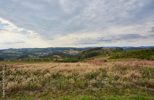 Landschaft im Sauerland, Eslohe-Cobbenrode, Hochsauerlandkreis, NRW, Deutschland, Germany, 2023