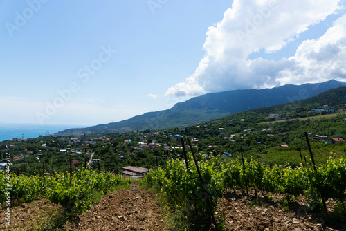 Rain clouds over mountains and a valley with a green vineyard. photo