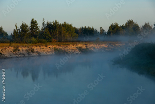 Foggy morning on a European river with fresh green grass in the sun. The rays of the sun through the tree. © Iryna