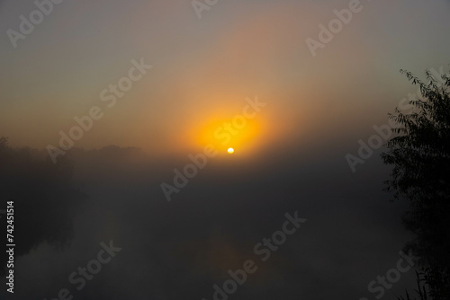 Panorama of beautiful misty lake coast at sunrise moment.