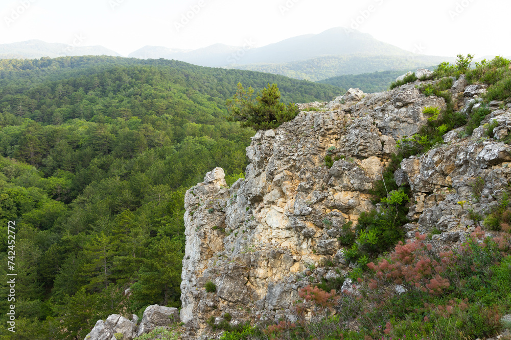 Gray wild rocks and wild green forest. View from above. Landscape.