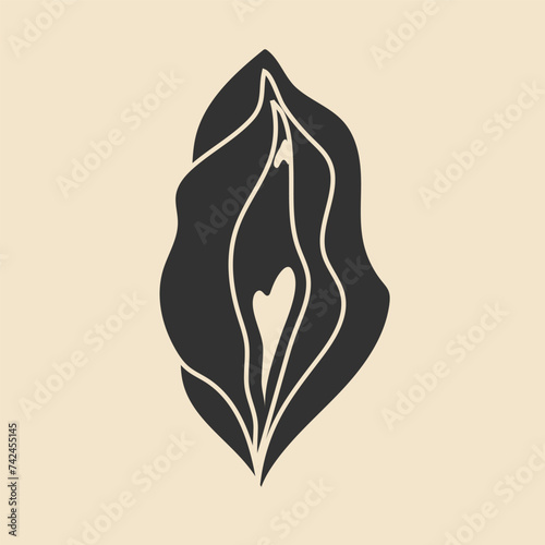 Beauty female reproductive system. Vulva. Illustrator a vagina. Vector in hand drawn	