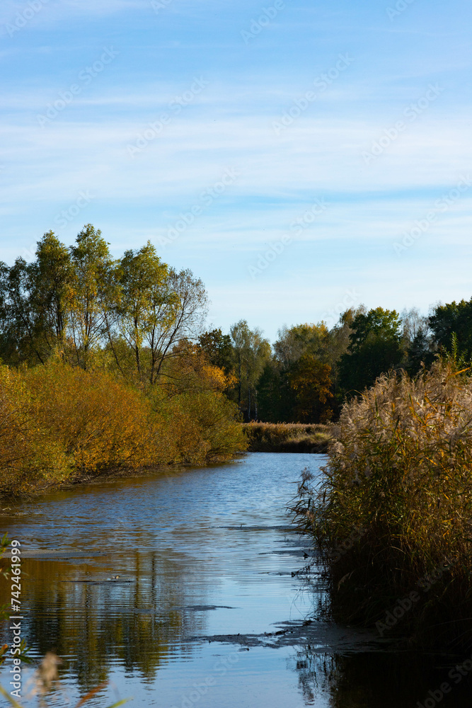 Autumn landscape, beautiful view of a small river with trees, bushes and reeds.