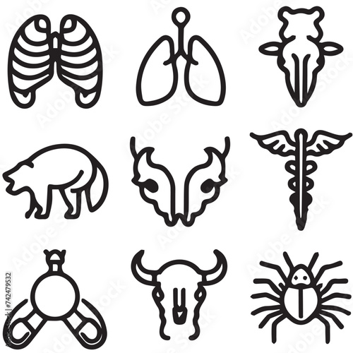 animal anatomy icons