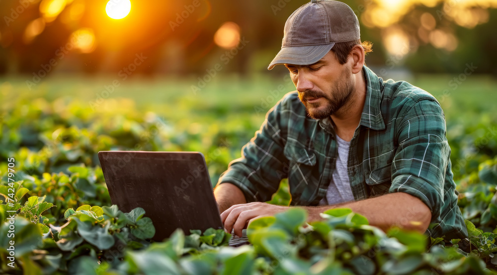 Man using a laptop in a field of crops with the sunset in the background, ai generated - obrazy, fototapety, plakaty 