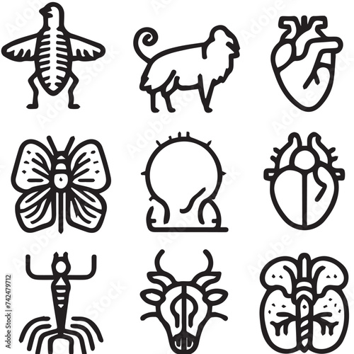 animal anatomy icons