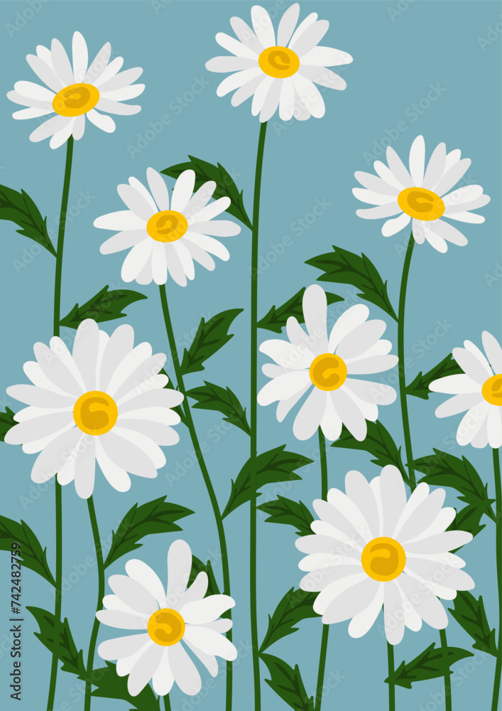 Fototapeta premium Daisy flower background.Eps 10 vector.