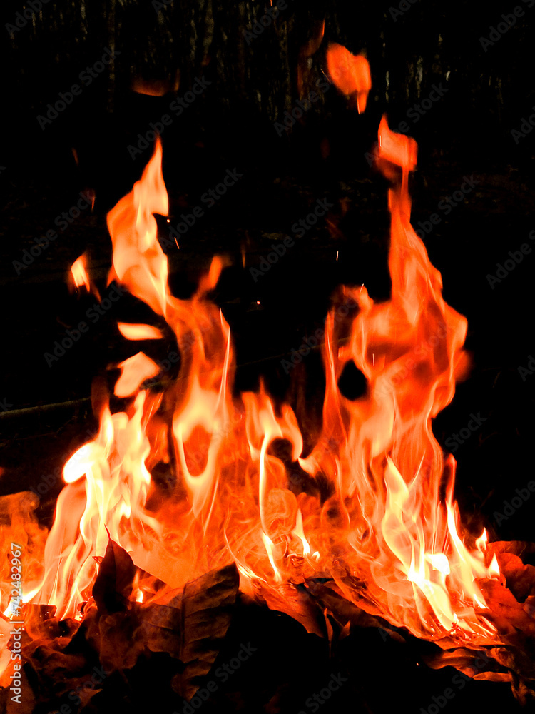 Vertical photos, Vertical fire photos, Camping Vertical photos, Vertical fire photos, Camping