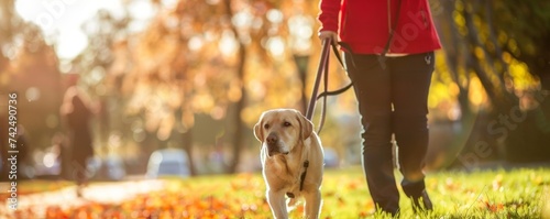 Visually impaired patient walking with a guide dog in a vibrant city park uplifting photo