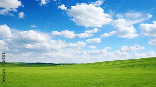 Green meadow under blue sky with clouds