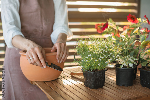 Young woman repotting plants into a ceramic pot on a balcony photo