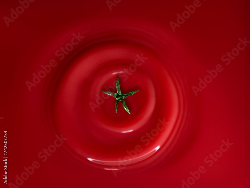 Full frame conceptual image of tomato sauce with a tomato stalk photo