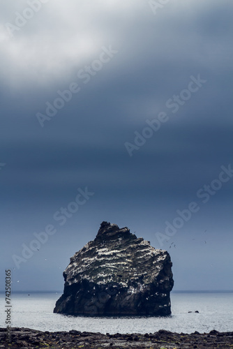 Birds nesting and flying around a rock in Atlantic Ocean, Iceland photo