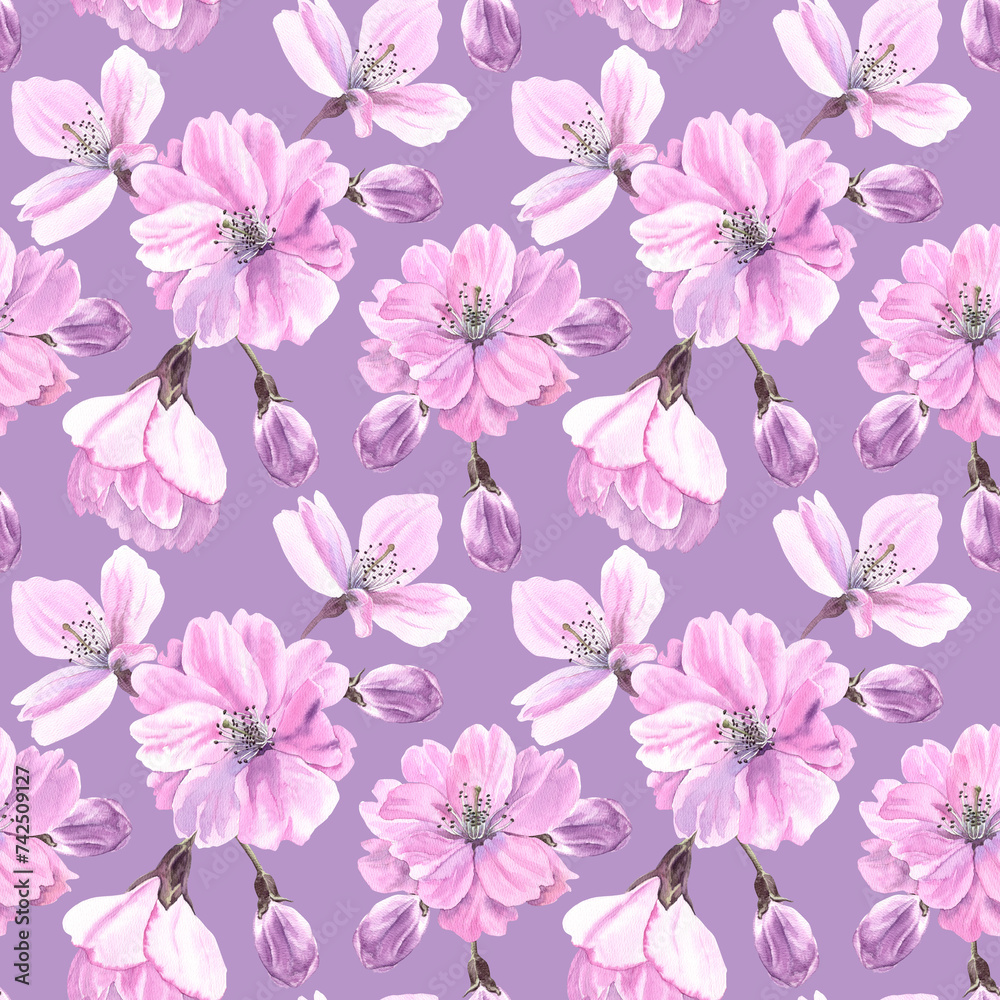 Watercolour Sakura spring flowers illustration seamless pattern. Seasonal Cherry blossom. Hand-painted. Botanical Floral elements. On violet background. For interior print decoration, fabric, wrapping