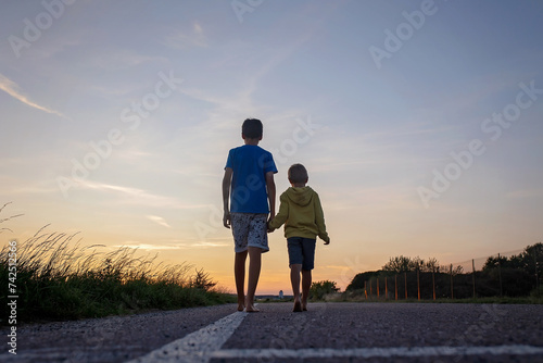 Two boys, brothers, children, blond boys with pet dog, maltese breed, walking on a road in rural, sunny day, sky
