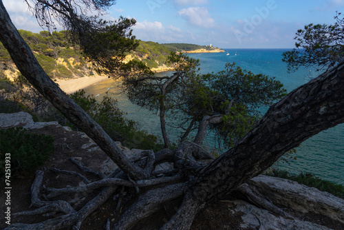 Fonda beach (Cala Fonda) and La Marquesa pine forest with the Mora tower and the cliffs in the background in a sunny day. Tarragona, Catalonia, Spain.