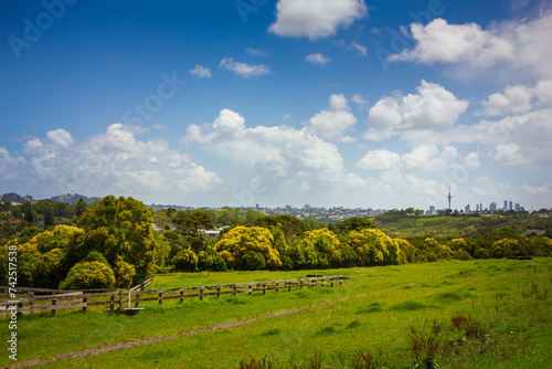 Landscape of an summer green field rolling down the hill toward a row of suburbian houses. Auckland CBD skyline visible on the horizon. Meadowbank  Auckland  New Zealand