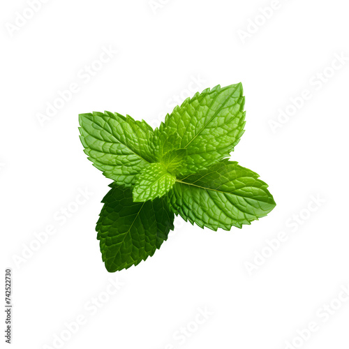 mint leaves isolated on transparent background created with Generative AI