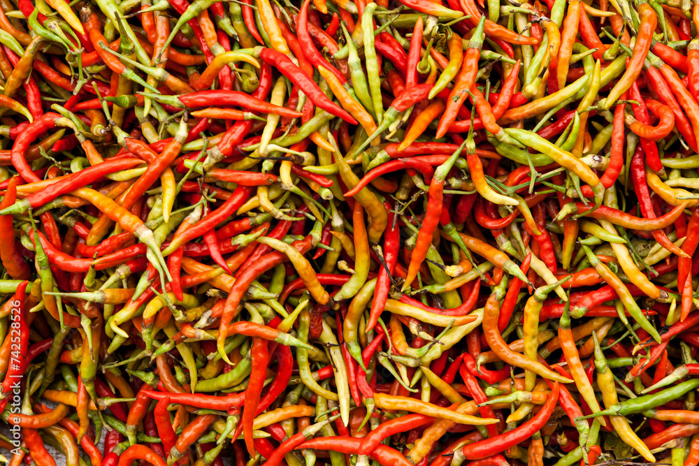 red and green chilli