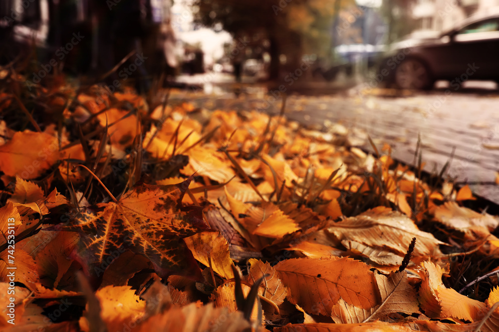 Beautiful Nature Autumn landscape. Scenery view on autumn city park with golden yellow foliage in Sunny day. Walking path in the city Park strewn with autumn fallen leaves.