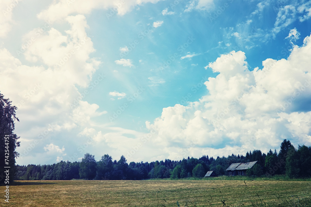 High clouds in the summer sky. Sky background. Meteorological observations of the sky. High clouds in the summer sky. Sky background. Meteorological observations of the sky.