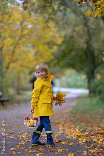 Beautiful blond preschool child, playing with leaves, mushrooms and pumpkins in the rain, holding umbrella, autumn day