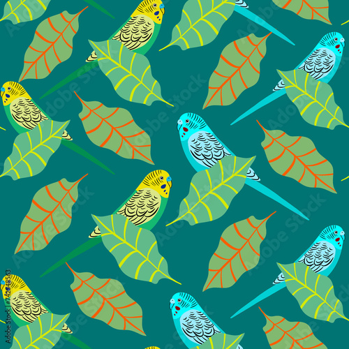 Parakeet bird illustration pattern design