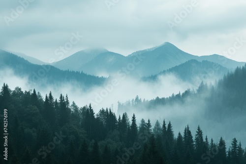 Misty foggy landscape with fir forest and mountains.