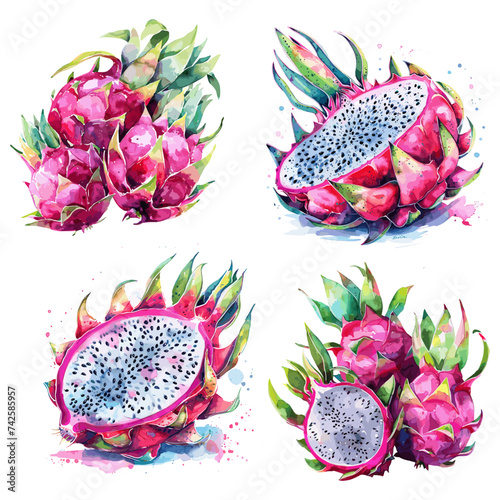 Dragon fruit set watercolor isolated on white background