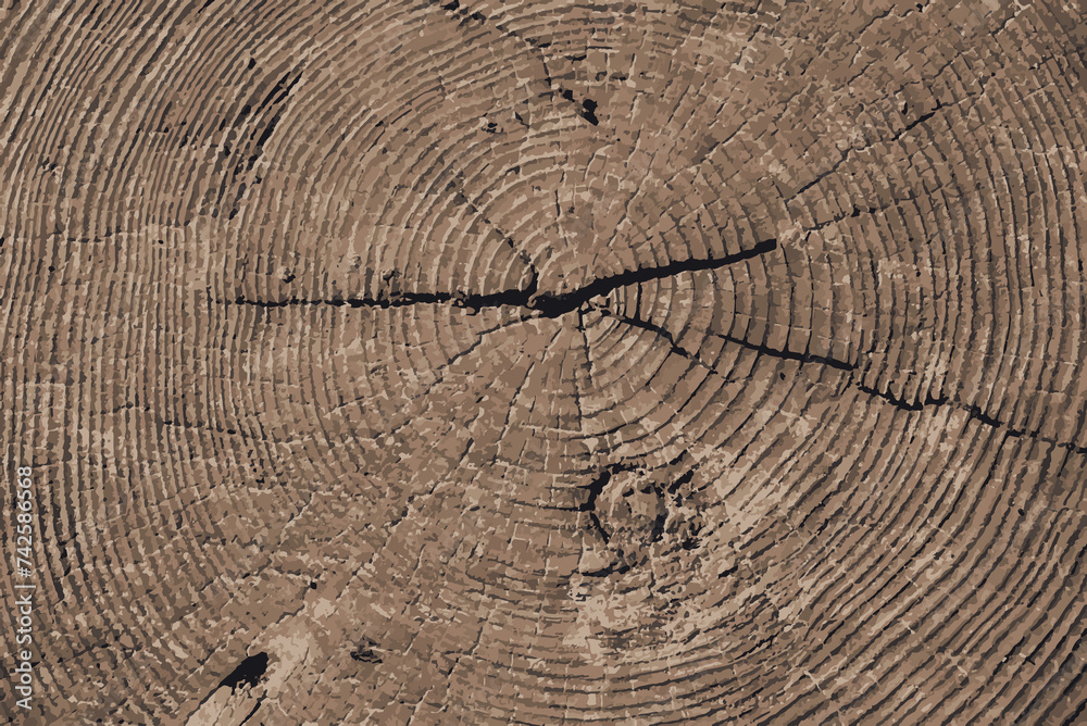 Naklejka premium Tree Ring Detail Texture in colour