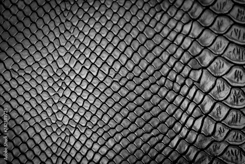 Black snake skin texture pattern can see the surface details.