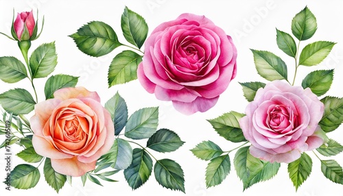 set watercolor arrangements with roses collection garden pink flowers leaves branches botanic illustration isolated on white background © Kari