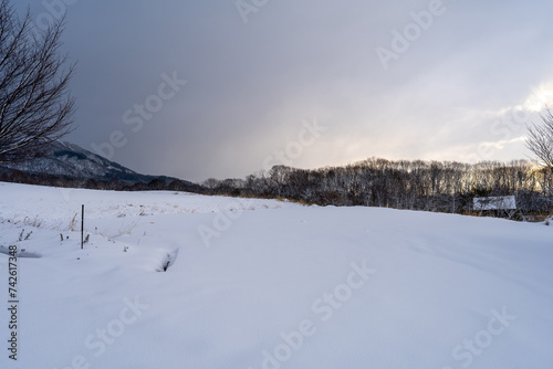 冬の蒜山牧場の風景 © Tomo Nyan