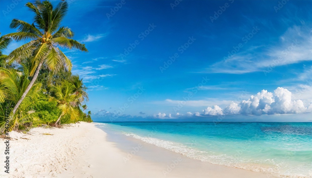 panoramic coastal paradise with white sandy beach and clear blue skies banner format copy space