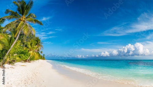 panoramic coastal paradise with white sandy beach and clear blue skies banner format copy space © Mac