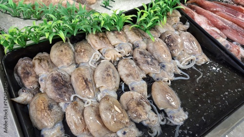 Quadro em tela Fresh raw cuttlefish, sepia or cuttles for selling in a plate in a fish market in Banjar City, Indonesia