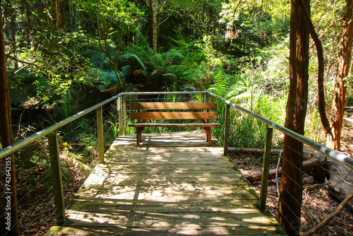 Scenic Walkway, an elevated boardwalk passing through the rainforest of the Jamison Valley in Scenic World, a famous tourist attraction of the Blue Mountains National Park, New South Wales, Australia photo